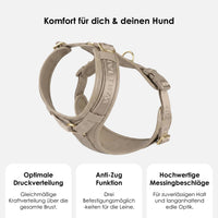 william-walker-leder-y-hundegeschirr-plain image 6