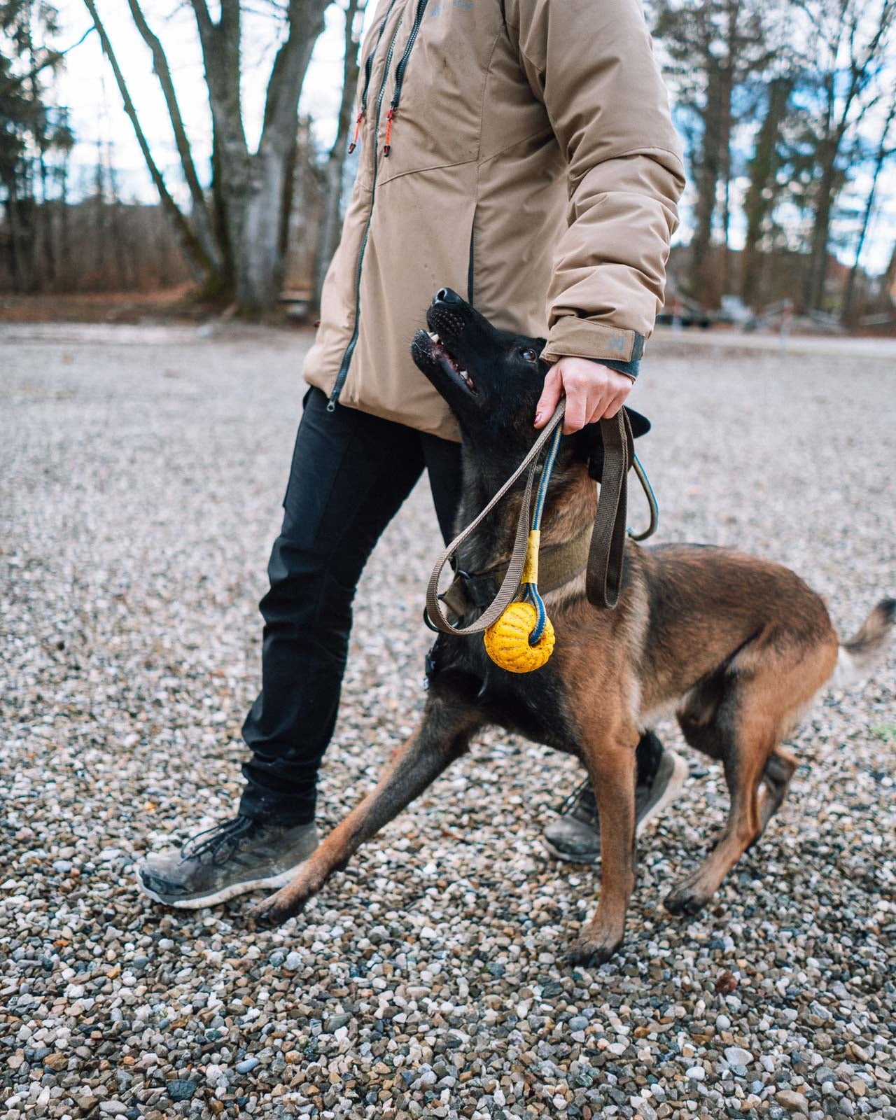 non-stop-dogwear-solid-leash-wd-arbeitsleine-2-m image 4