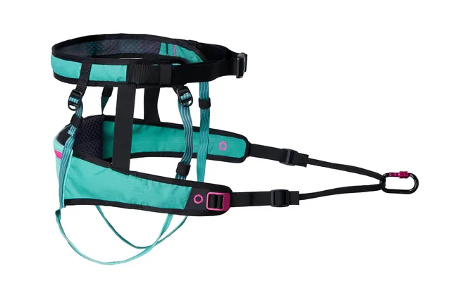 non-stop-dogwear-canix-belt-2-0-laufg-rtel image 1