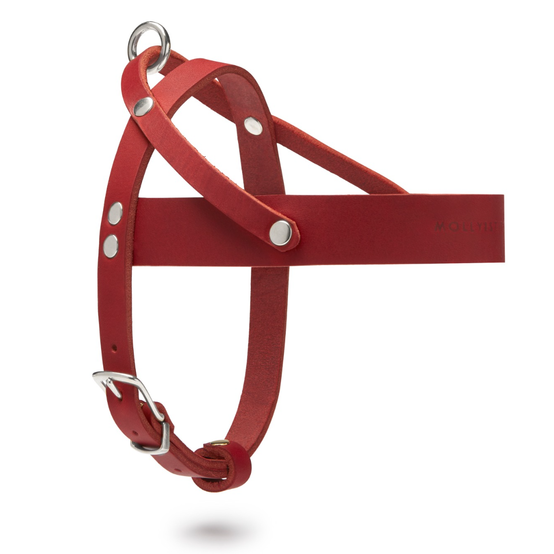 molly-and-stitch-butter-leather-hundegeschirr-chili-red image 4
