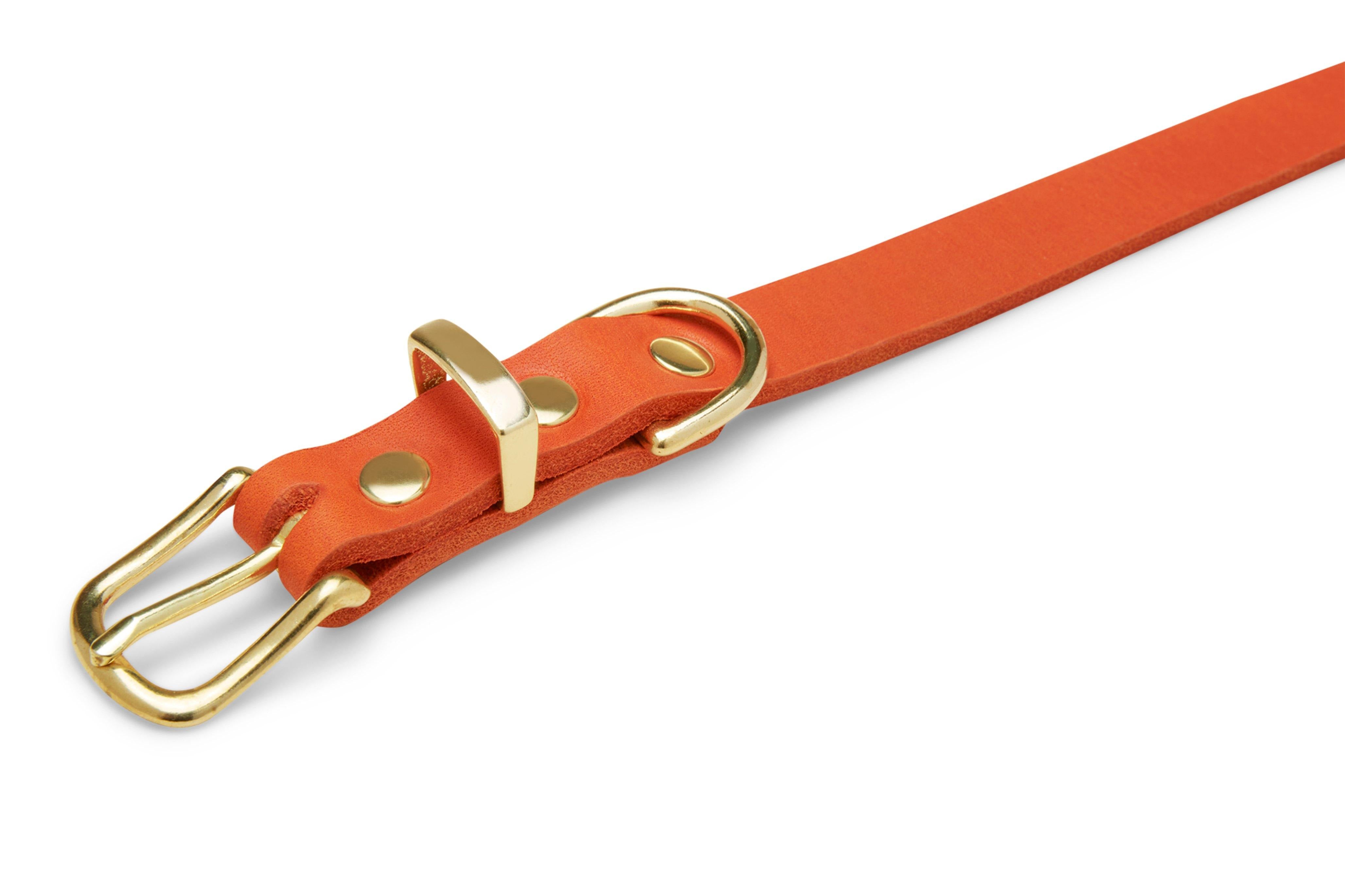 molly-and-stitch-butter-leather-hundehalsband-mango image 2
