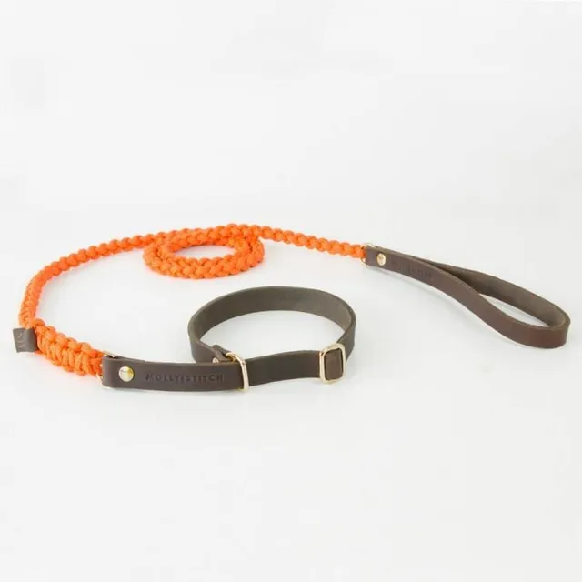 molly-and-stitch-touch-of-leather-retriever-hundeleine-pumpkin image 1