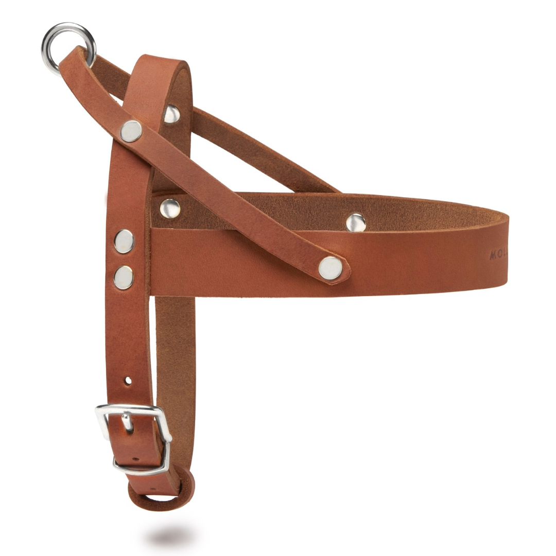 molly-and-stitch-butter-leather-hundegeschirr-sahara-cognac image 2