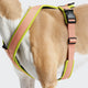 cloud7-y-1-harness-aktiv-air-mesh-peach image 3