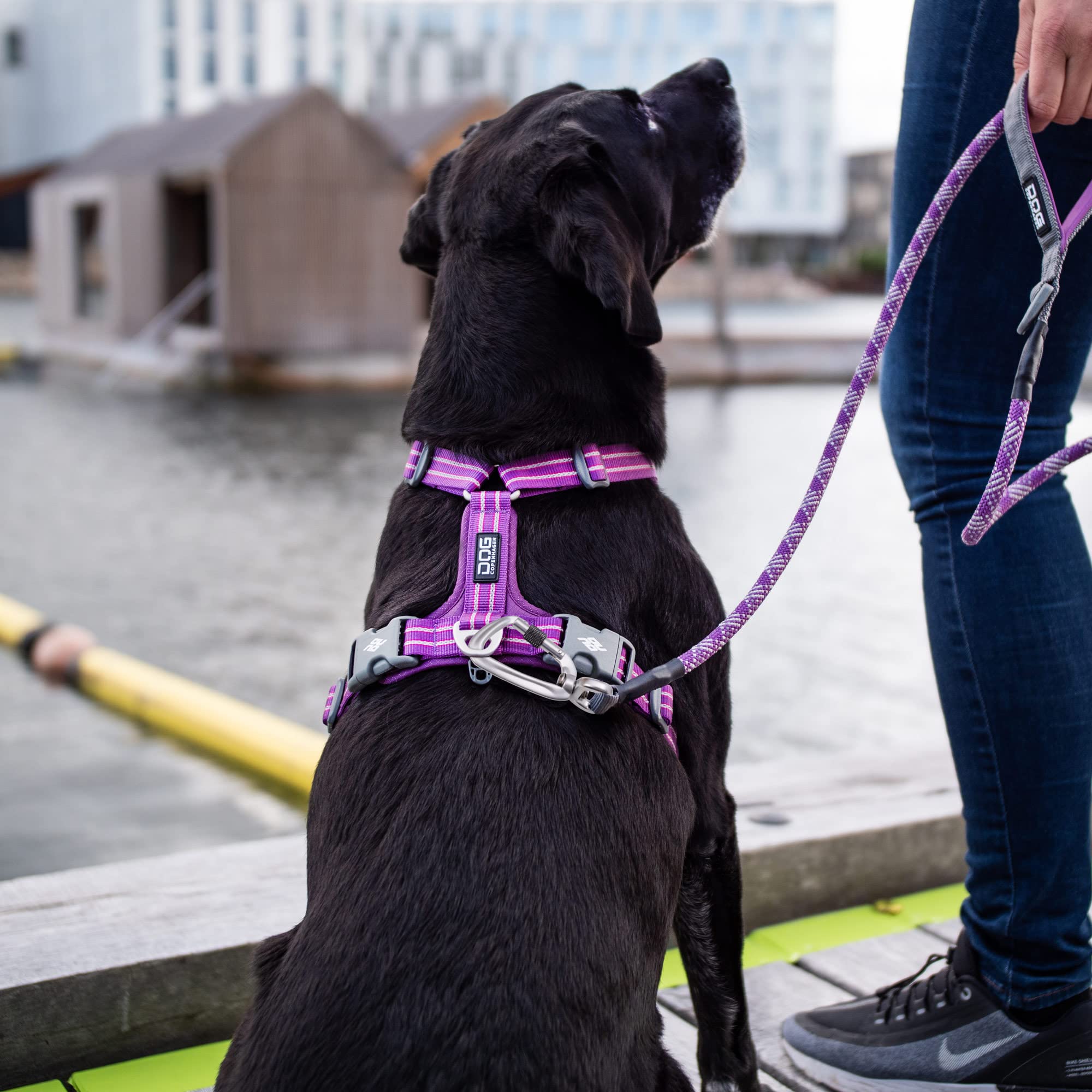 dog-copenhagen-urban-rope-schleppleine-s-classic-red-1-6-m-seilleine image 7