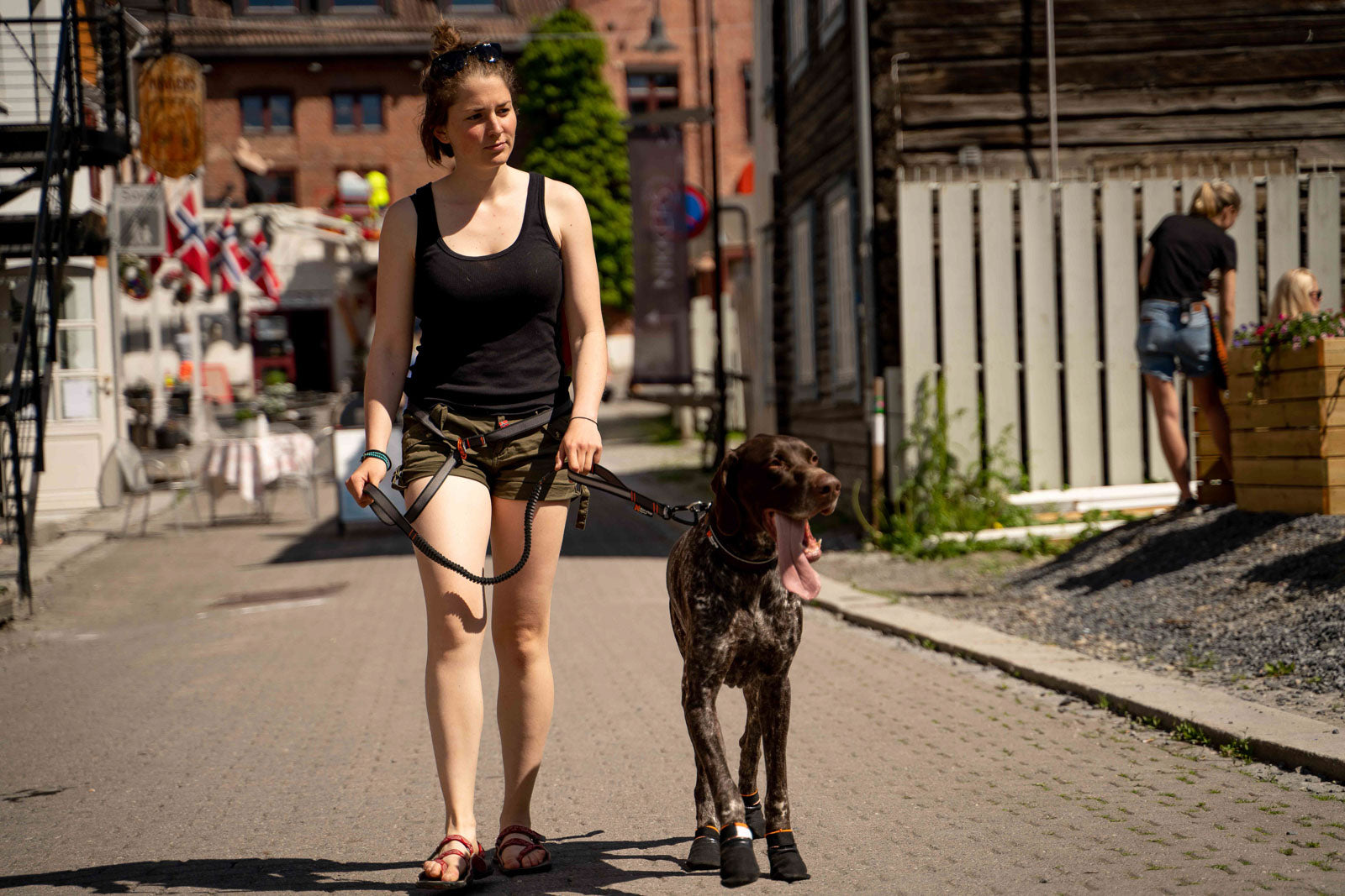 non-stop-dogwear-touring-bungee-adjustable-verstellbare-hundeleine image 5