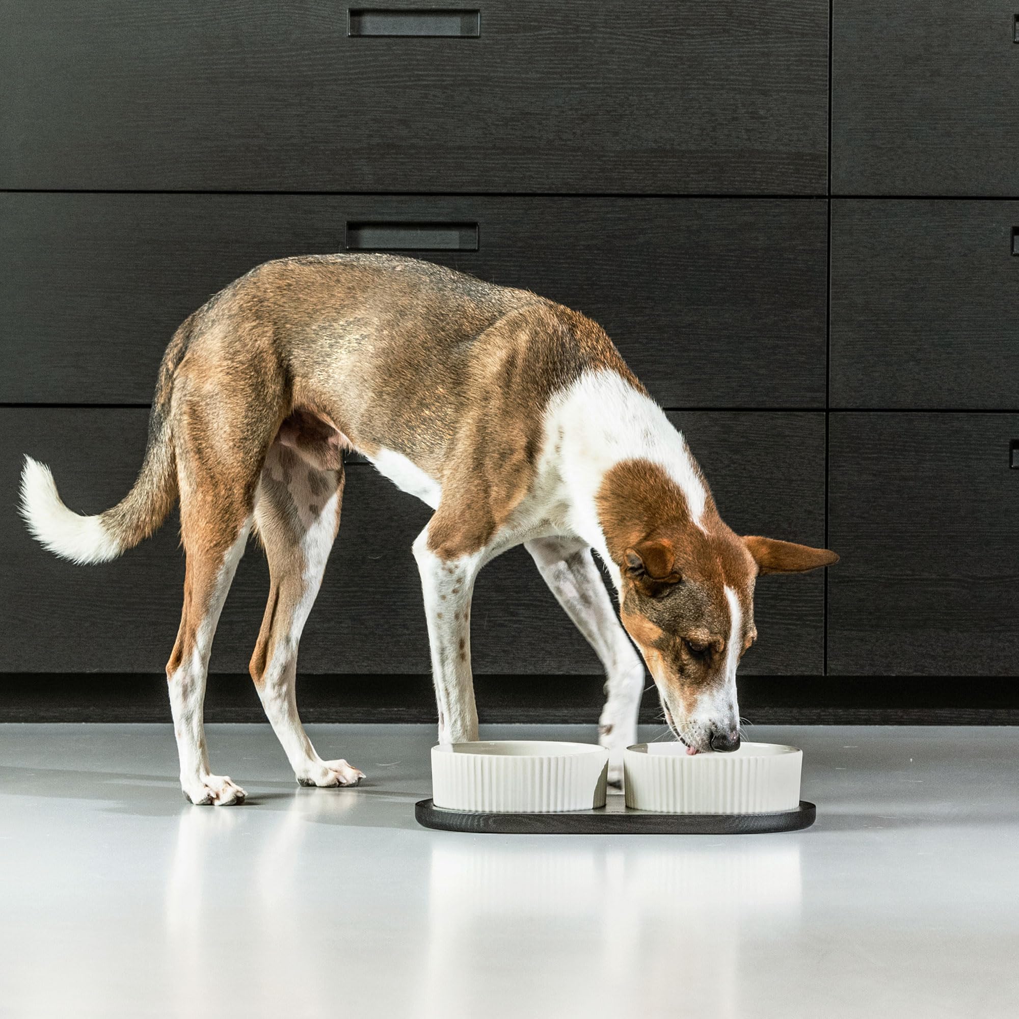 dog-copenhagen-kronborg-futterstation-s-caffe-latte-oak image 8