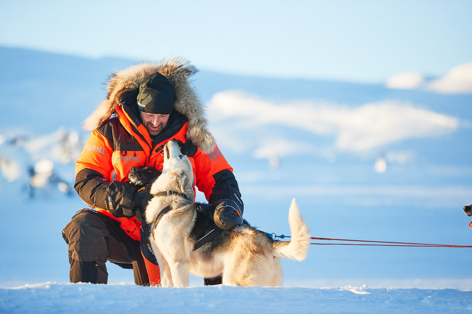 non-stop-dogwear-arctic-votta-f-ustlinge image 5
