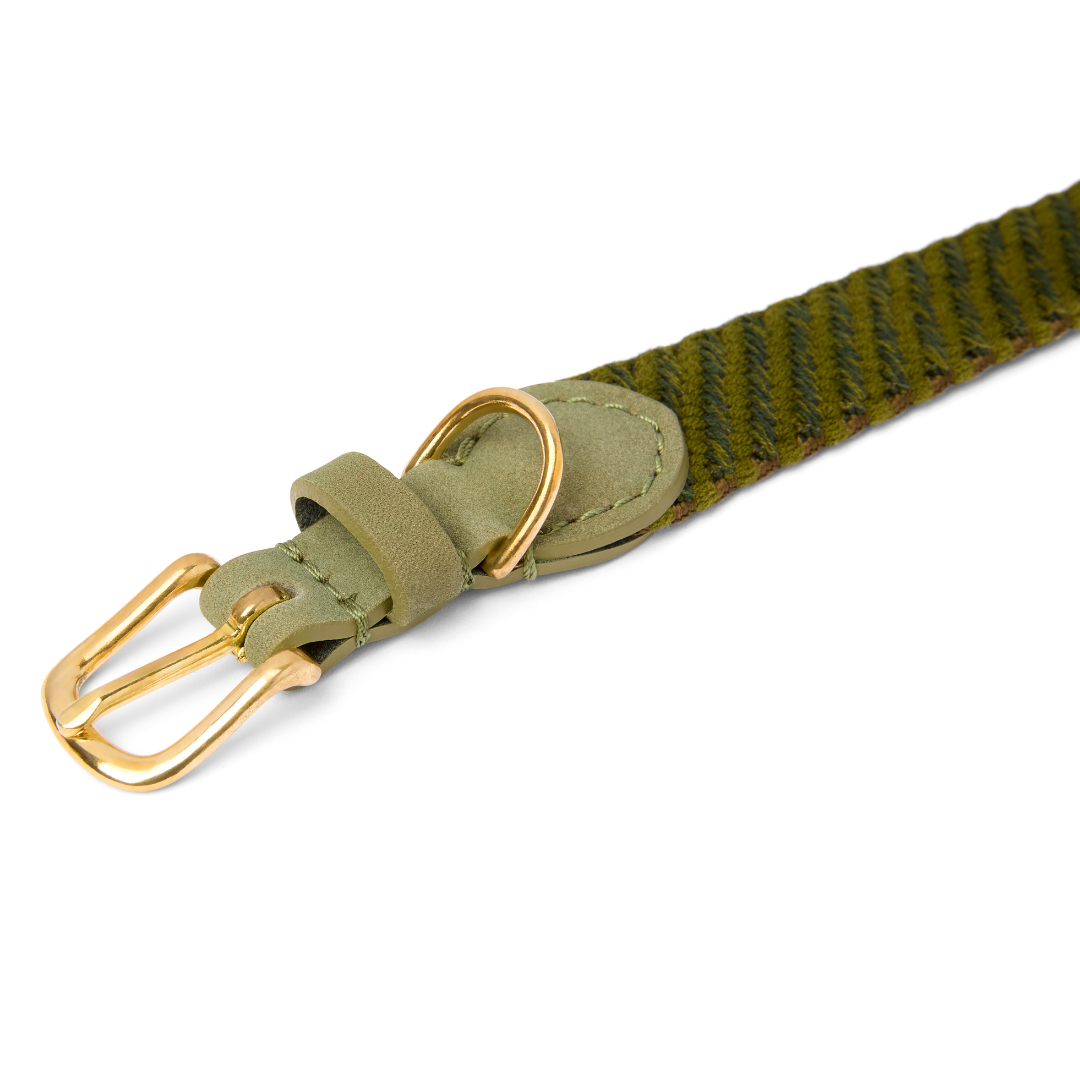 molly-and-stitch-serrana-hundehalsband-moss image 2