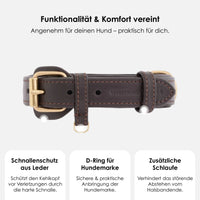 william-walker-earth-leder-hundehalsband-braun image 3