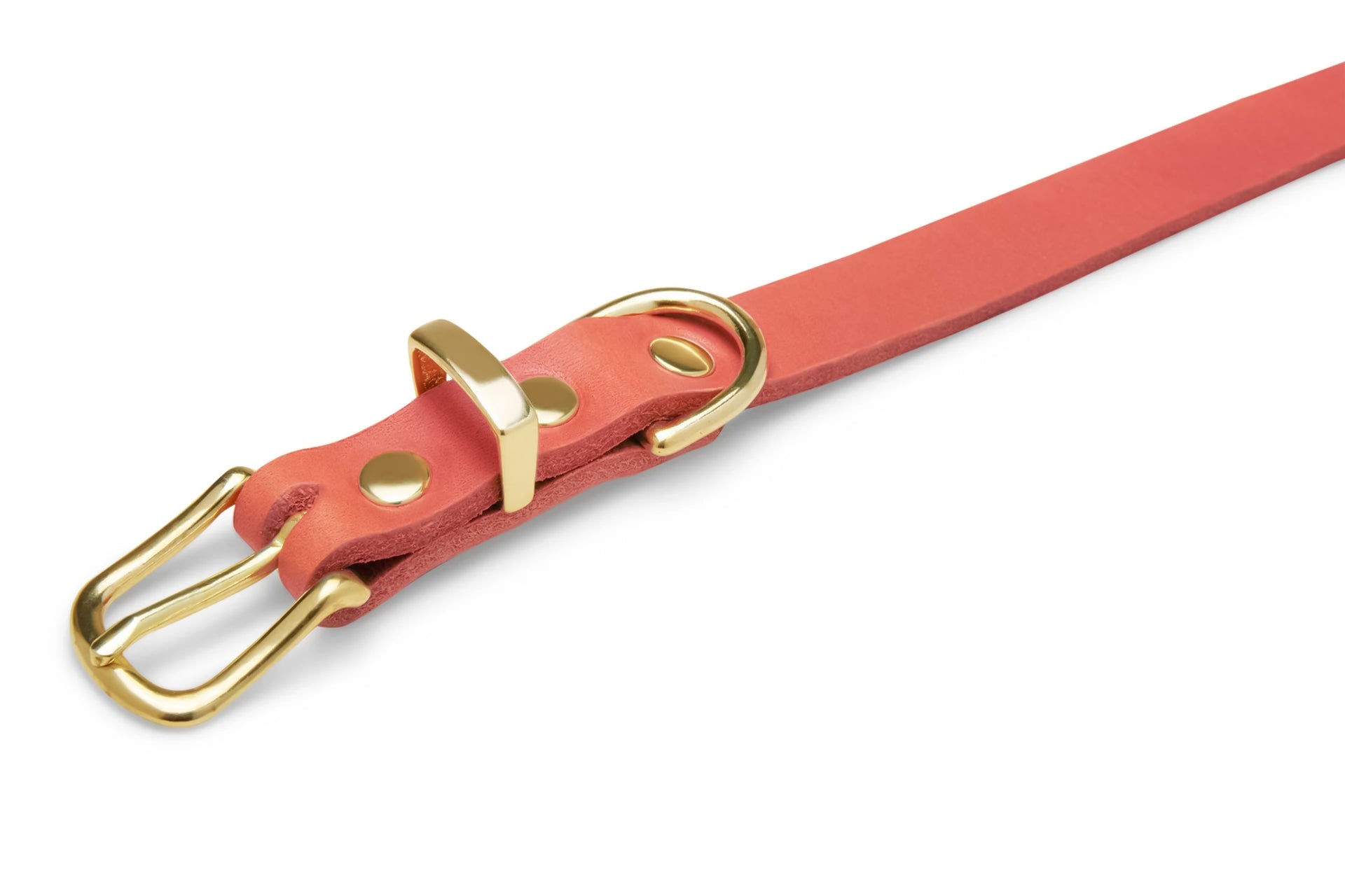 molly-and-stitch-butter-leder-hundehalsband-coral-pink image 3