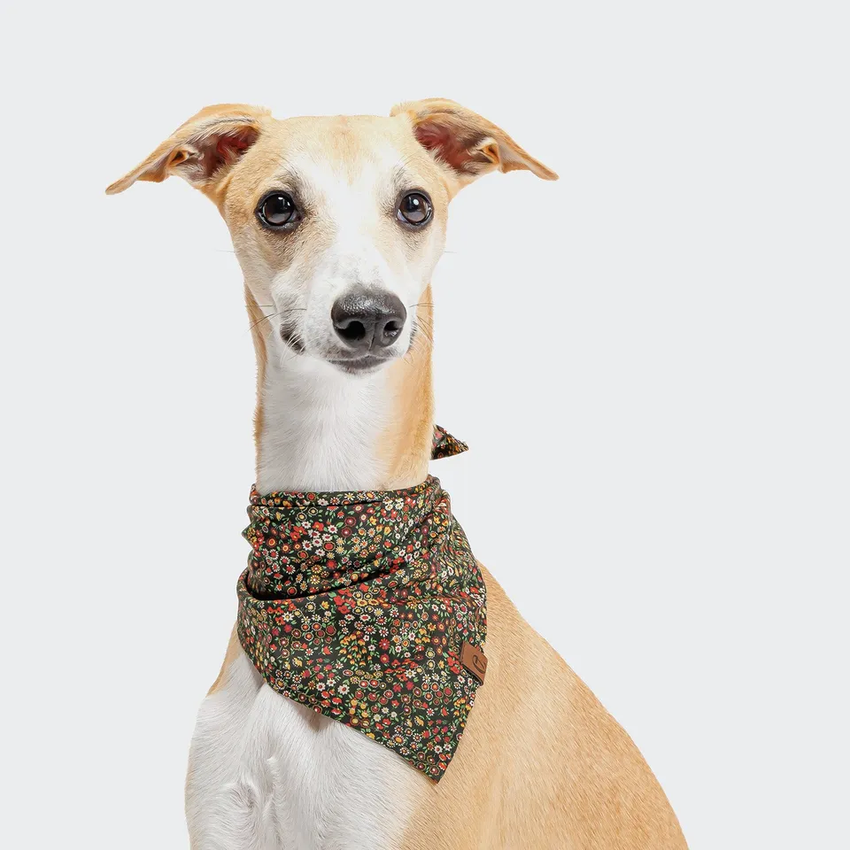 cloud7-botanical-night-hunde-bandana-liberty-london-baumwolltuch-mit-blumenprint image 1