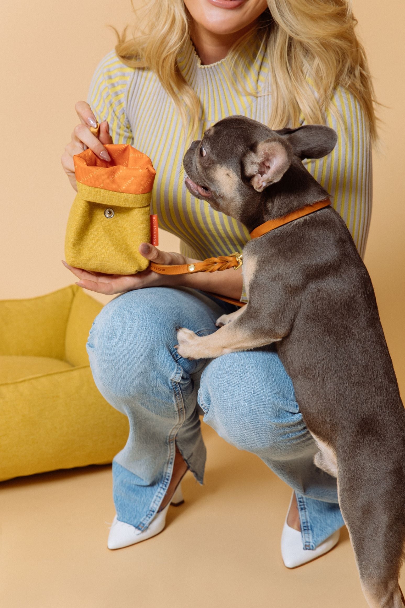 molly-and-stitch-alpine-treat-bag-mustard-leckerlibeutel-senfgelb-f-r-training image 5