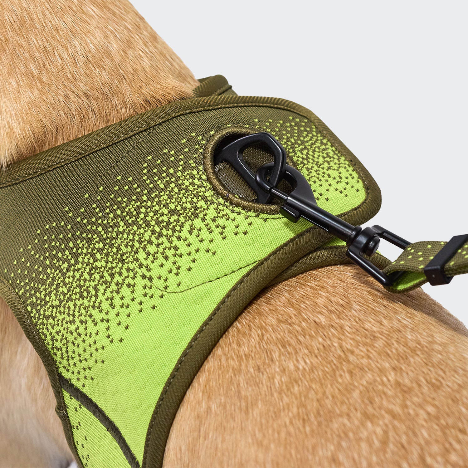 cloud7-v-3-aktiv-knit-westengeschirr-khaki-neon-green-gestricktes-hundegeschirr image 3