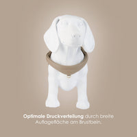 william-walker-step-in-leder-geschirr-pico-f-r-kleine-hunde-norwegergeschirr-aus image 7
