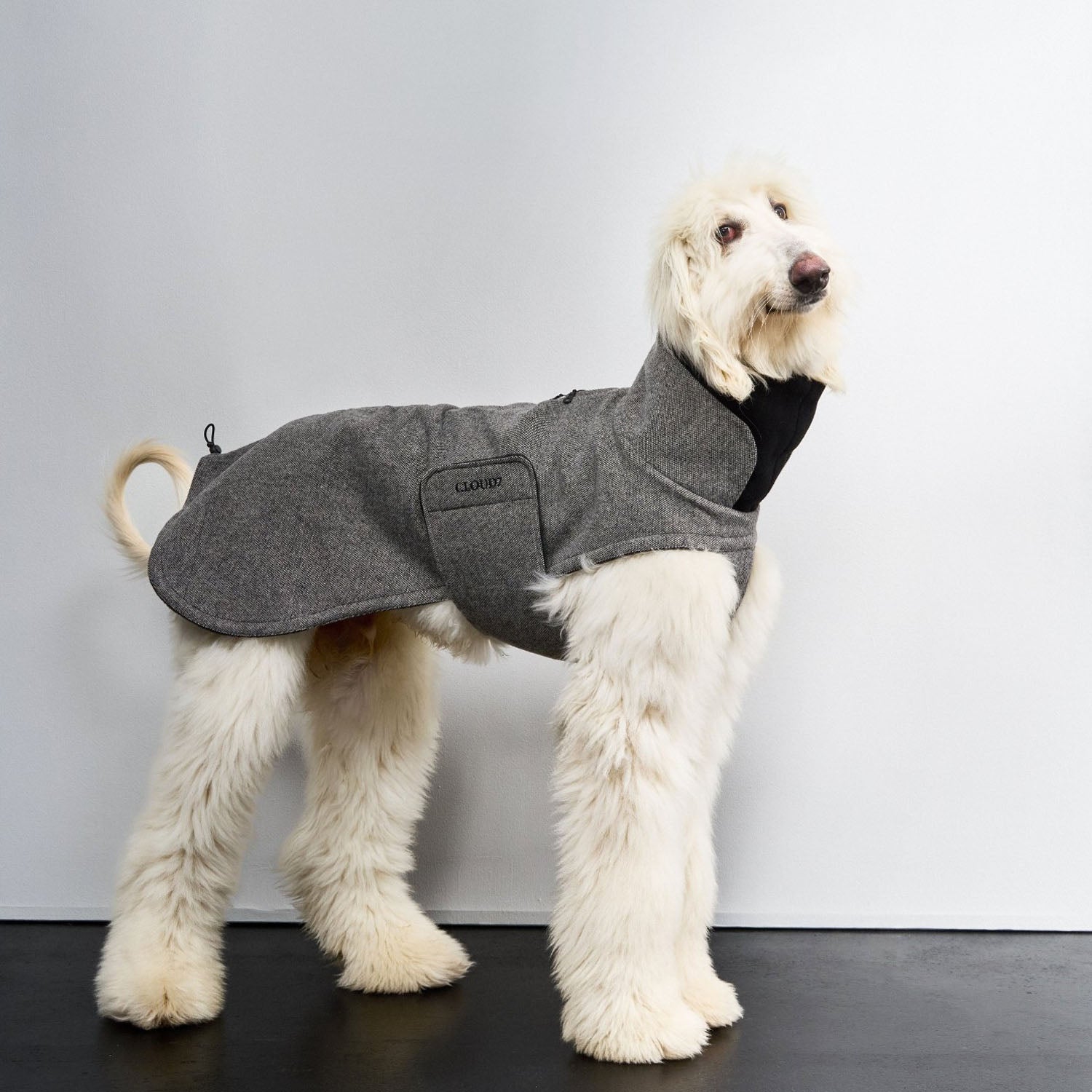 cloud7-hundemantel-brooklyn-long-tweed-black-2 image 2