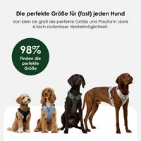 william-walker-y-hundegeschirr-earth-braun image 8