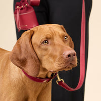 william-walker-luxe-wildleder-hundeleine-lambrusco-bordeauxrot image 5