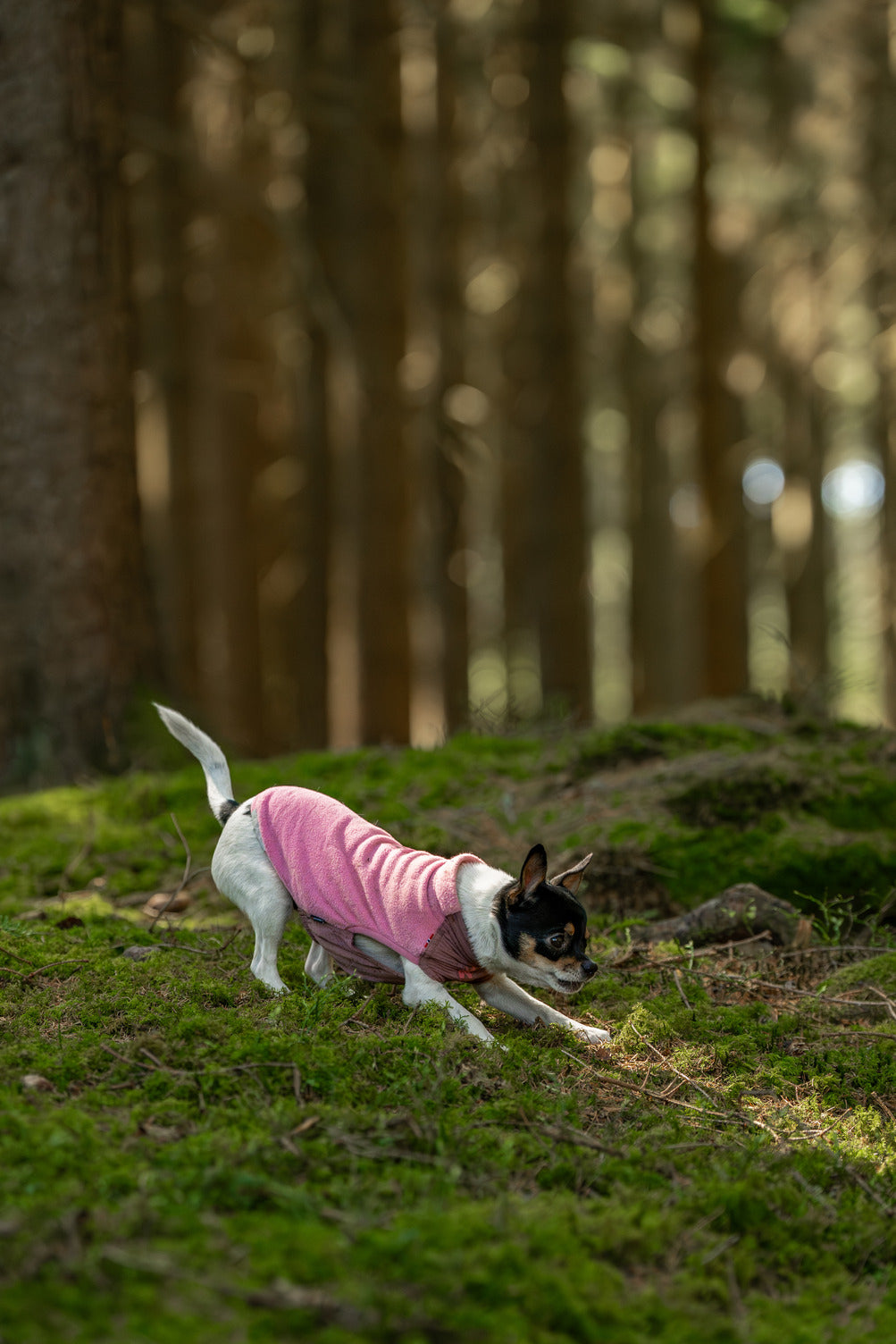 non-stop-dogwear-trail-quest-fleece-pullover-warmer-fleece-pullover image 4