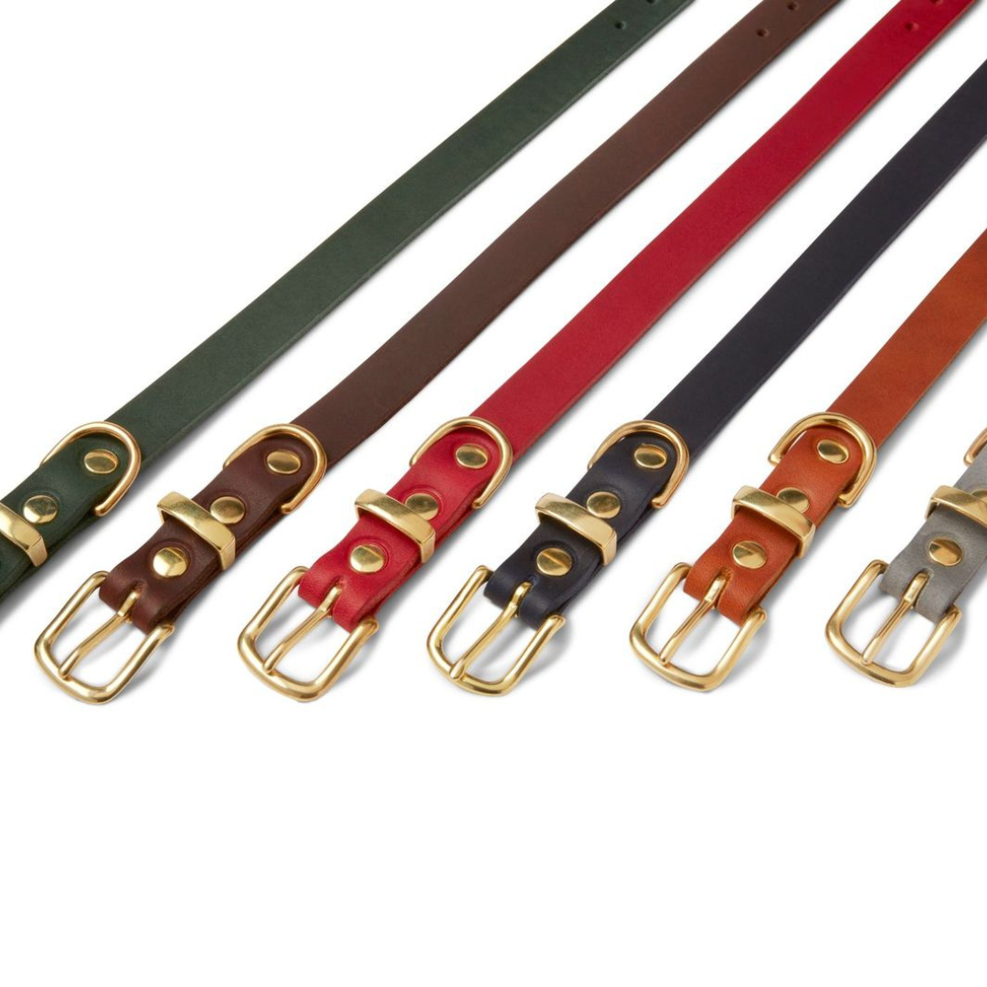 molly-and-stitch-butter-leather-hundehalsband-chili-red image 5