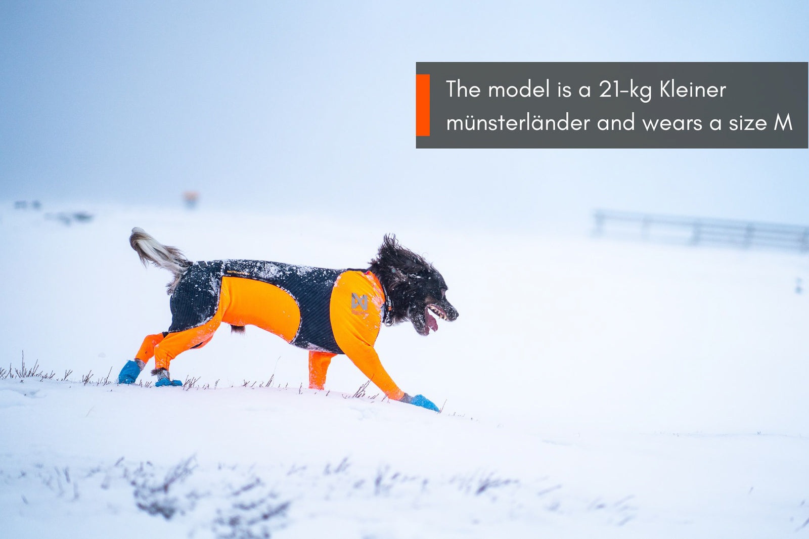 non-stop-dogwear-protector-snow-female-ganzk-rper-schneeanzug-h-ndin image 5