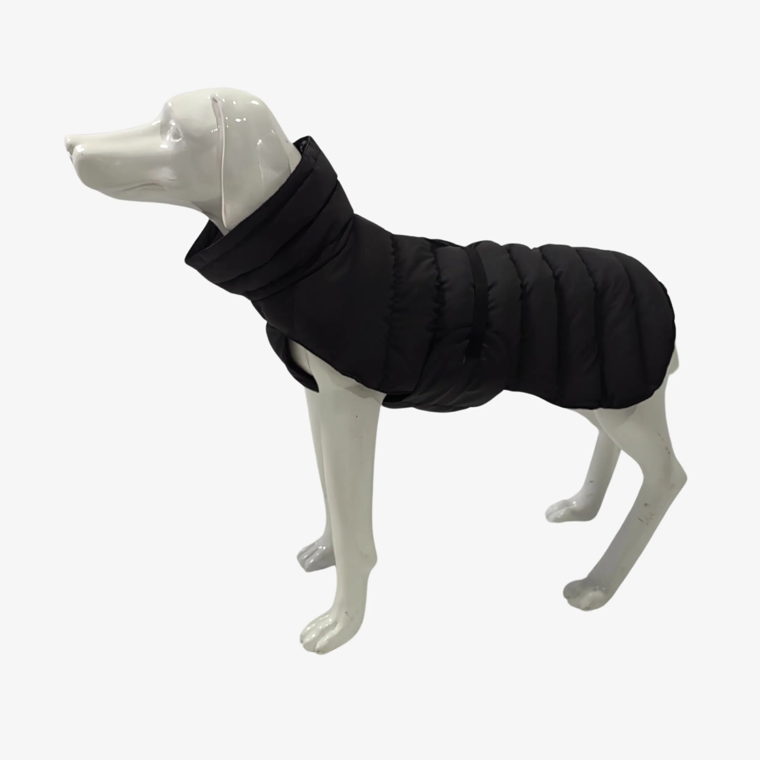 vitomalia-wintermantel-f-r-hunde-anthrazit-bis-30-c image 1