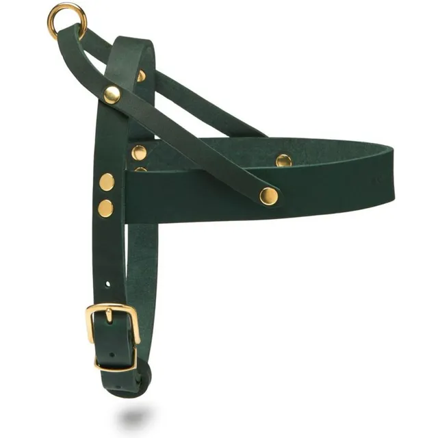molly-and-stitch-butter-leather-hundegeschirr-forest-green image 1