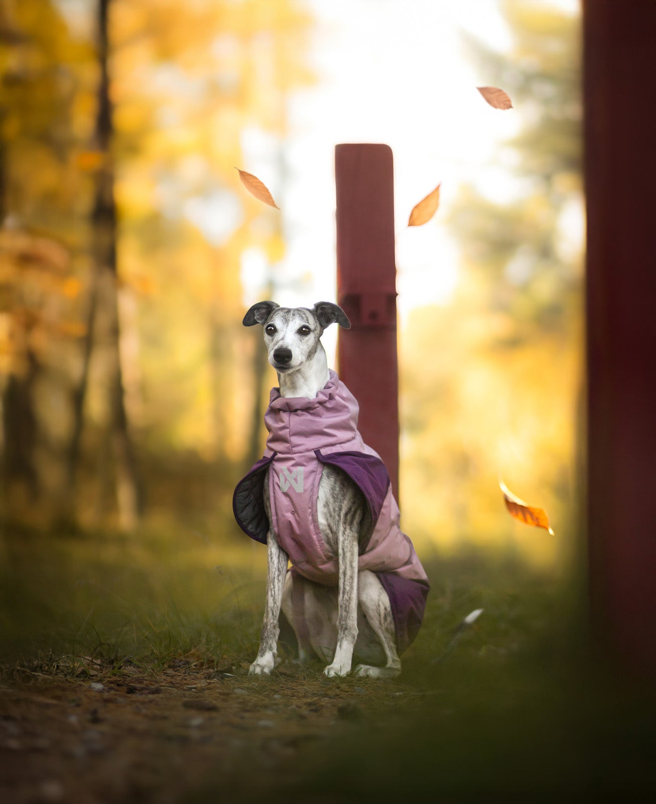 non-stop-dogwear-glacier-jacket-3-0-winterjacke-isoliert image 6