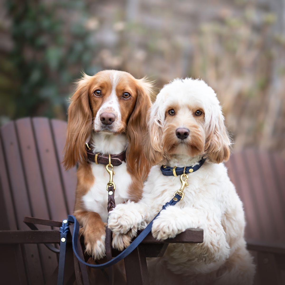 molly-and-stitch-butter-leather-hundehalsband-navy-blue image 8