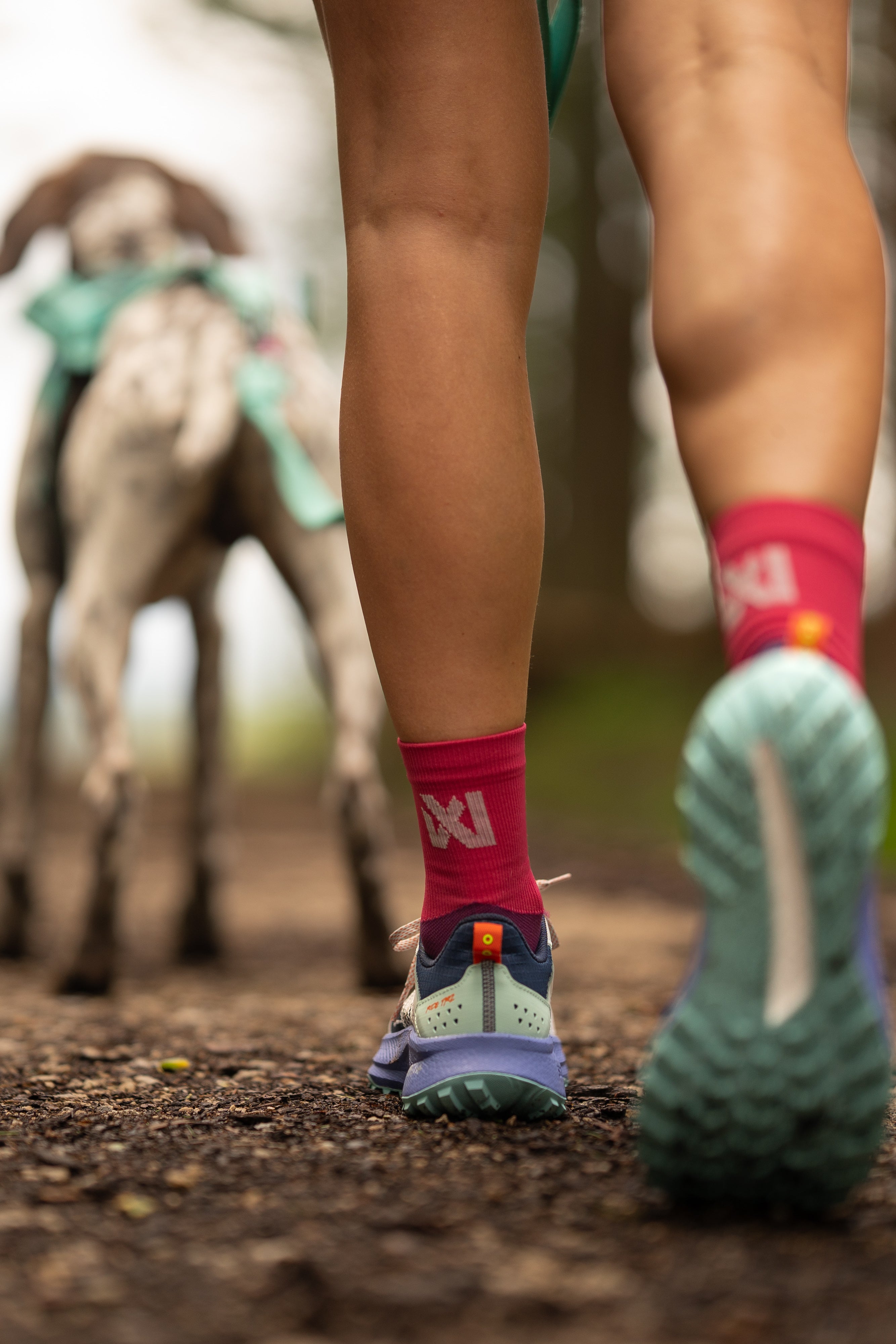non-stop-dogwear-canix-socks-kompressions-laufsocken-f-r-canicross image 7