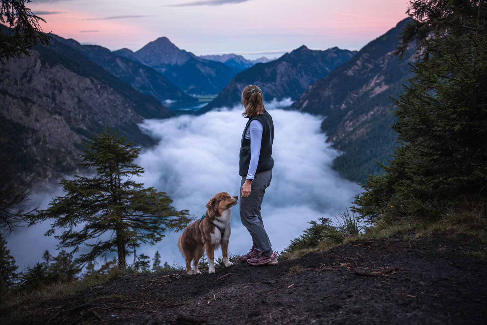 non-stop-dogwear-trail-quest-pants-w-softshell-damen-outdoorhose image 3