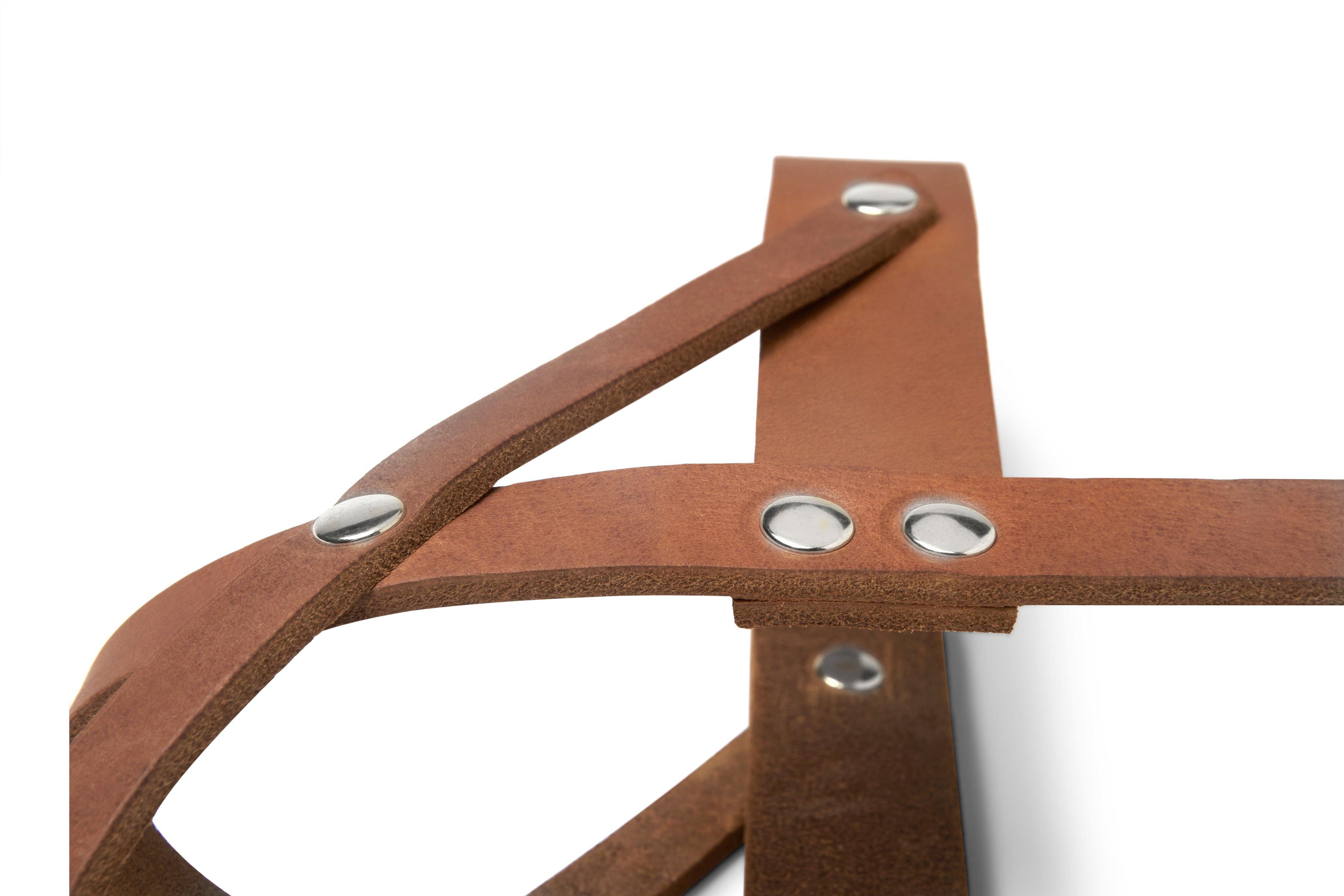 molly-and-stitch-butter-leather-hundegeschirr-sahara-cognac image 6