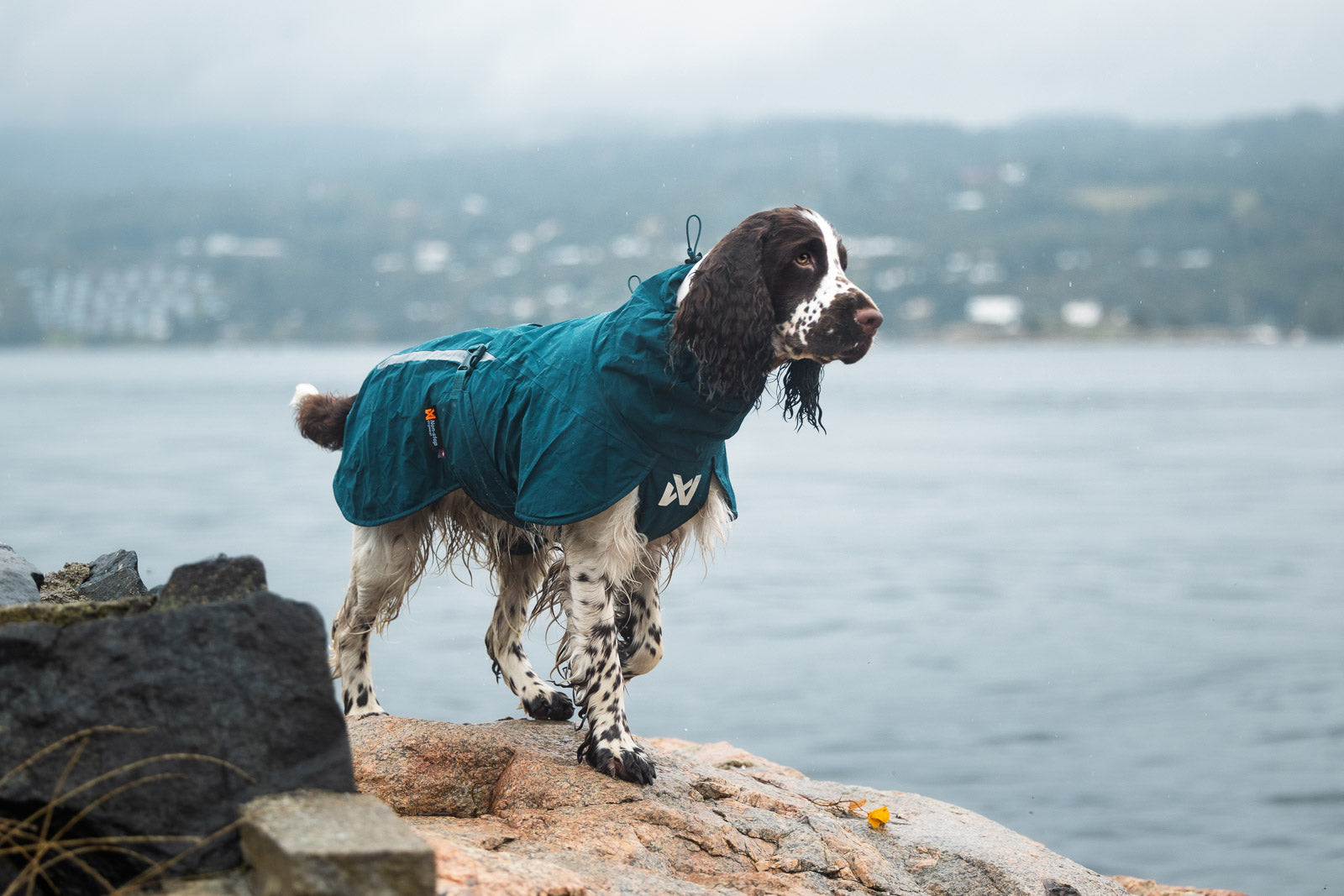 non-stop-dogwear-fjord-lined-raincoat-gef-tterter-hunderegenmantel image 4