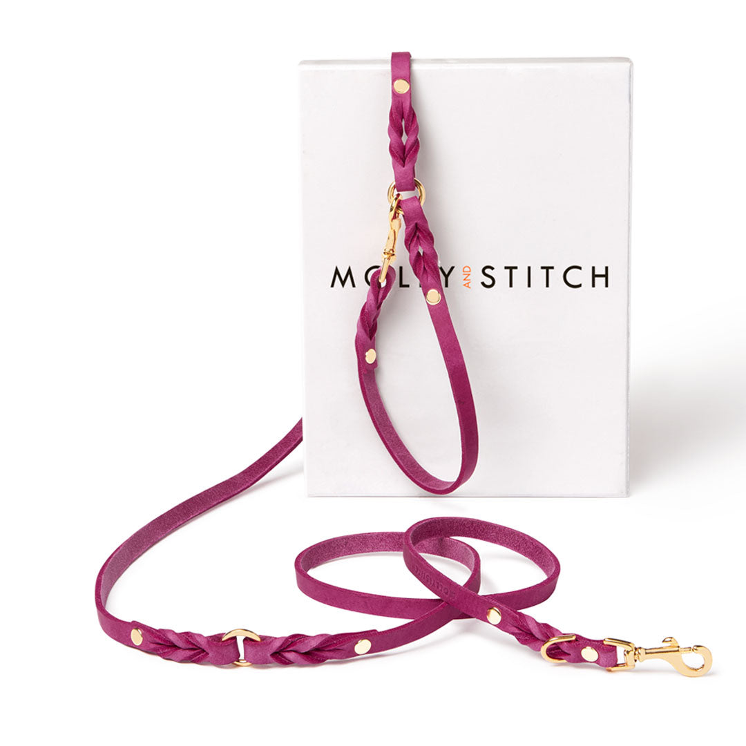 molly-and-stitch-butter-leather-3-fach-verstellbare-hundeleine-200-cm-flamingo image 1