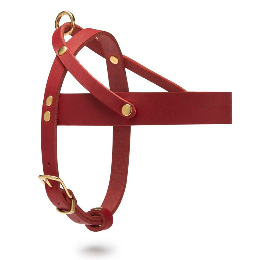 molly-and-stitch-butter-leather-hundegeschirr-chili-red image 3