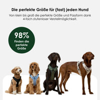 william-walker-y-hundegeschirr-sky-hellblau-jacquard image 8
