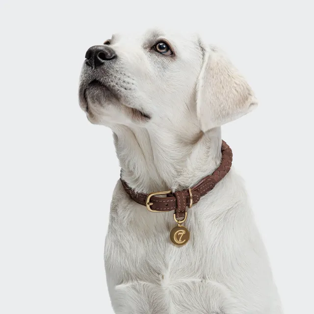 cloud7-ravello-halsband-hazel-geflochtenes-nubukleder-halsband image 1