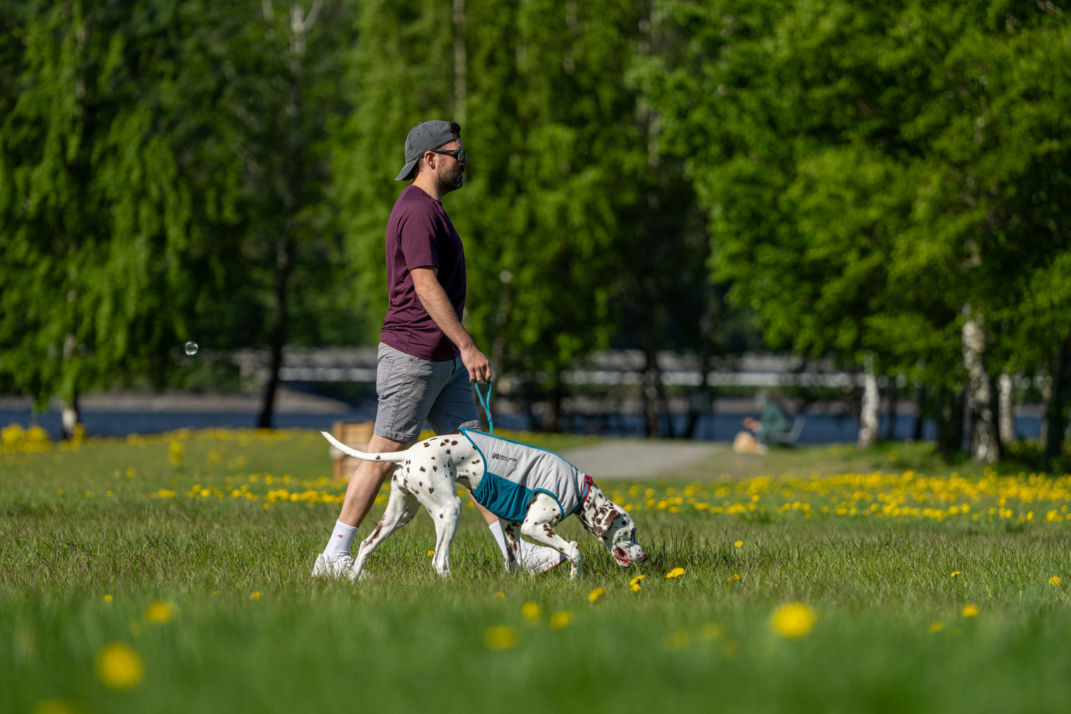 non-stop-dogwear-cooling-pull-on-weste-hund-k-hlweste image 7