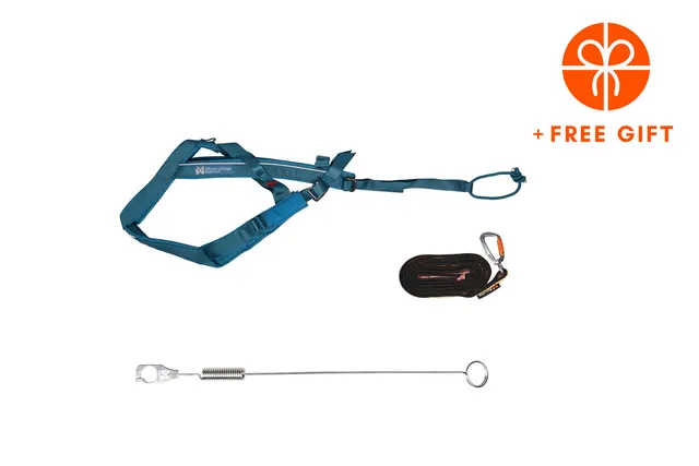 non-stop-dogwear-biking-kit-teal-zuggeschirr-set-freemotion-harness-5-0-bungee-l image 1