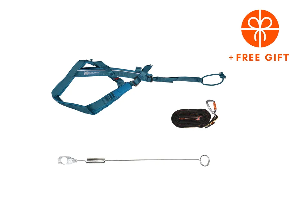 non-stop-dogwear-biking-kit-teal-zuggeschirr-set-freemotion-harness-5-0-bungee-l image 1
