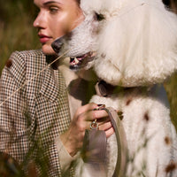 william-walker-wildleder-hundeleine-pebble-taupe image 5
