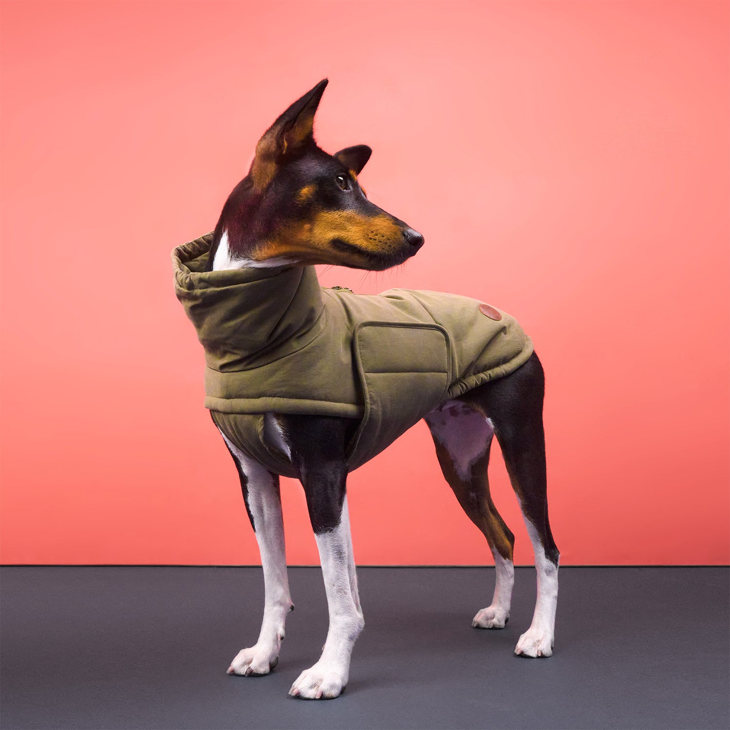 cloud7-hundemantel-yukon-teddy-khaki image 2