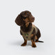 cloud7-v-2-vest-harness-aktiv-cordura-khaki-peach-f-r-kleine-hunde image 2