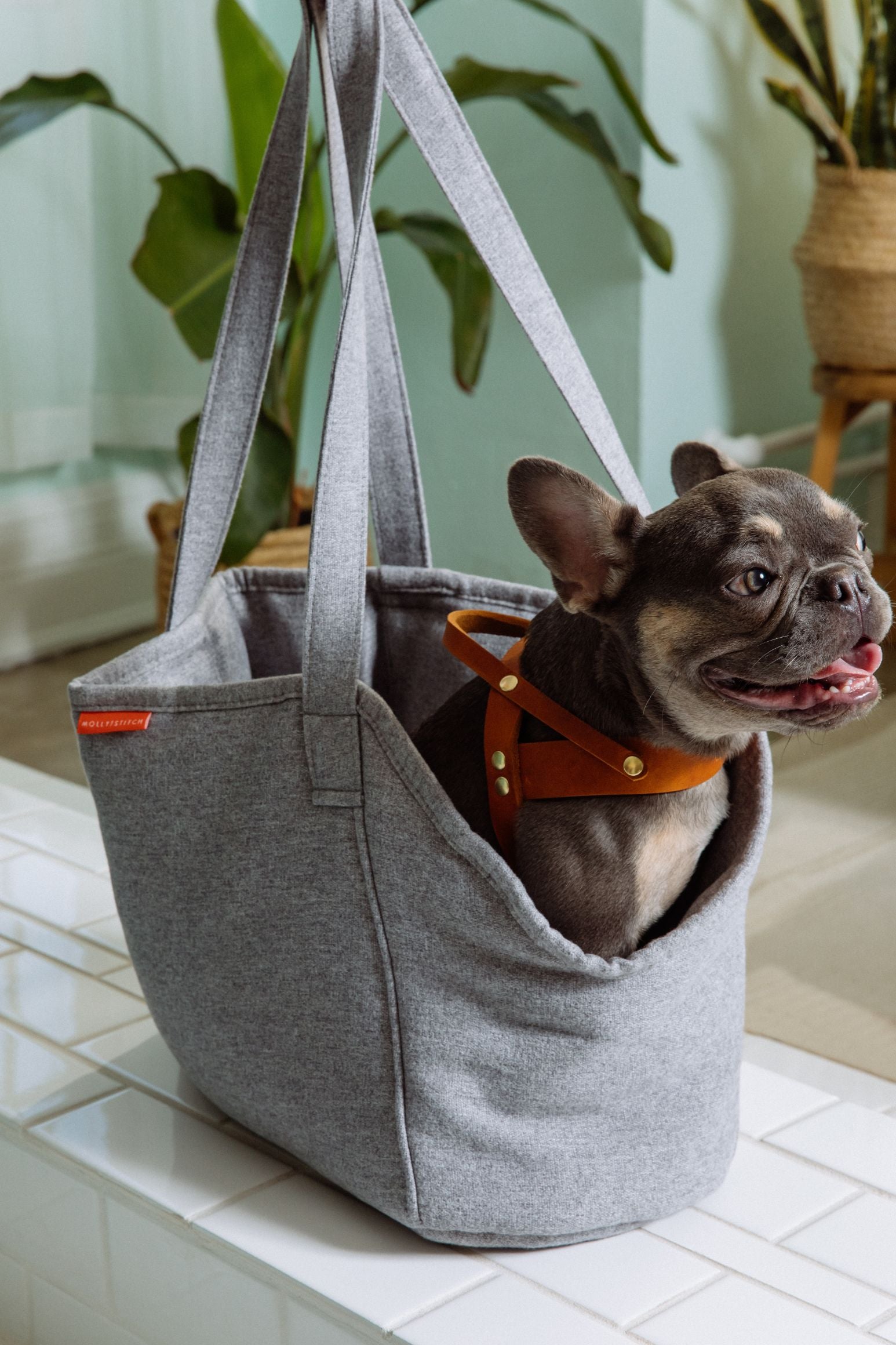 molly-and-stitch-alpine-hundetragetasche-grey image 6