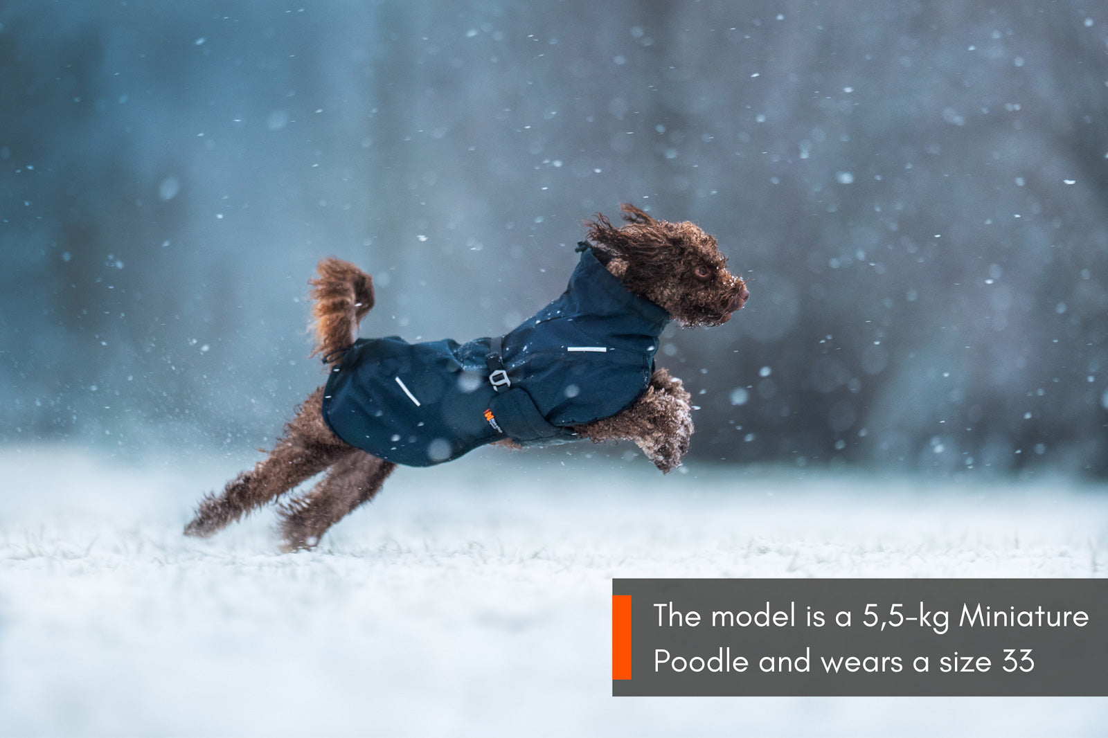 non-stop-dogwear-glacier-wool-jacket-2-0-isolierte-woll-hundejacke image 4
