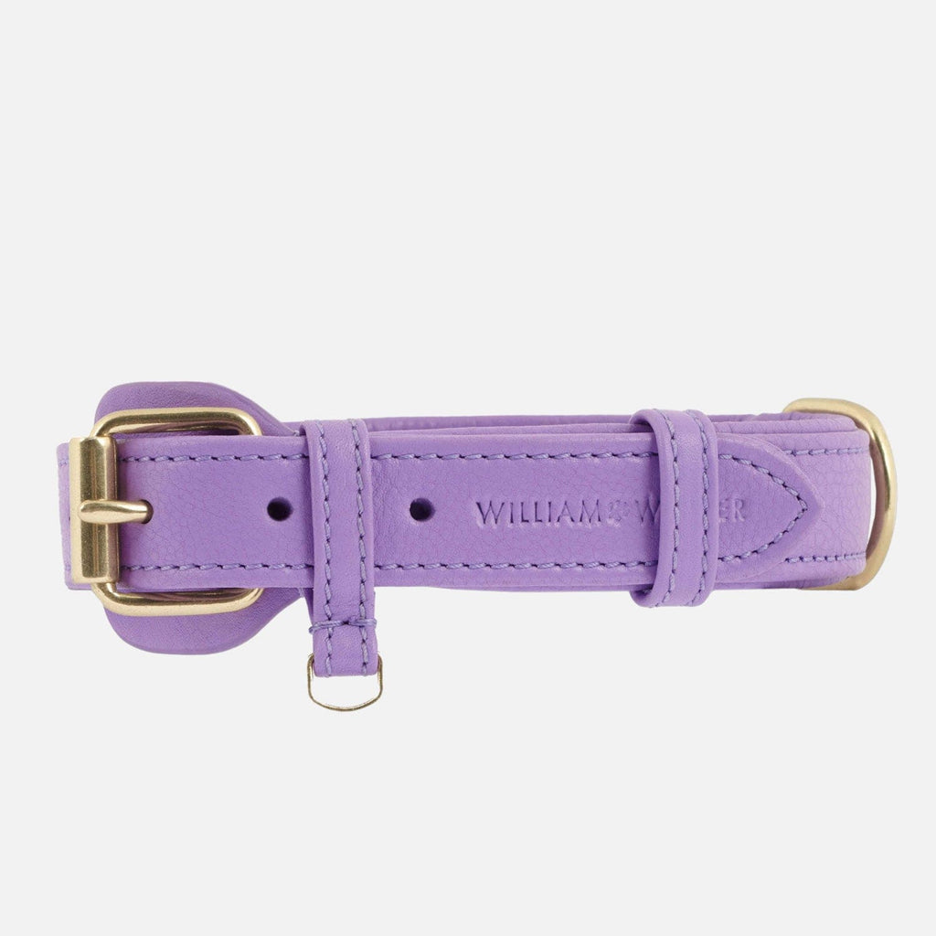 william-walker-leder-hundehalsband-lavender-lila image 1