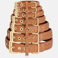 william-walker-leder-hundehalsband-prestige-caramel-braun-geflochten image 7