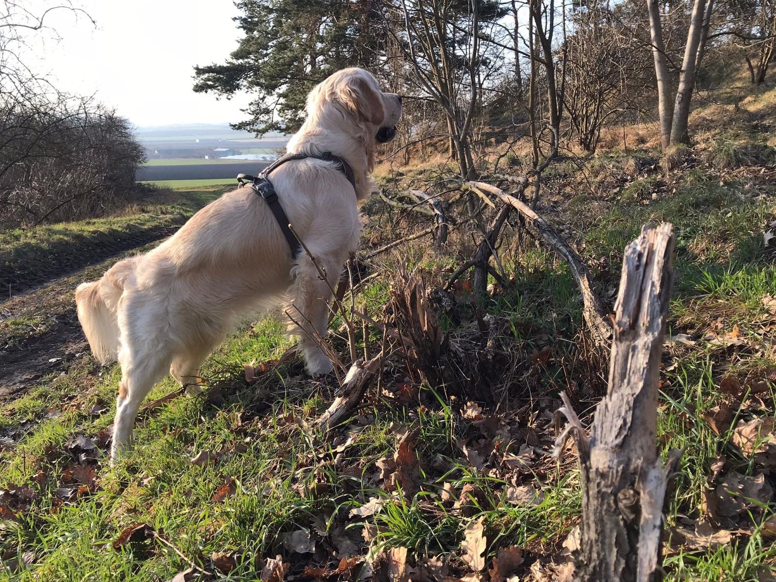 Leicht und bequem