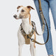 cloud7-l-1-hands-free-leash-aktiv-hundeleine-khaki-grey image 5