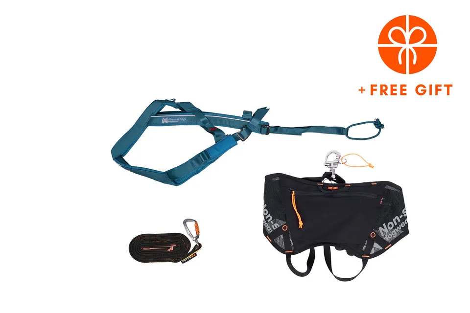 non-stop-dogwear-skiing-kit-teal-skij-ring-set-mit-freemotion-harness-5-0 image 1